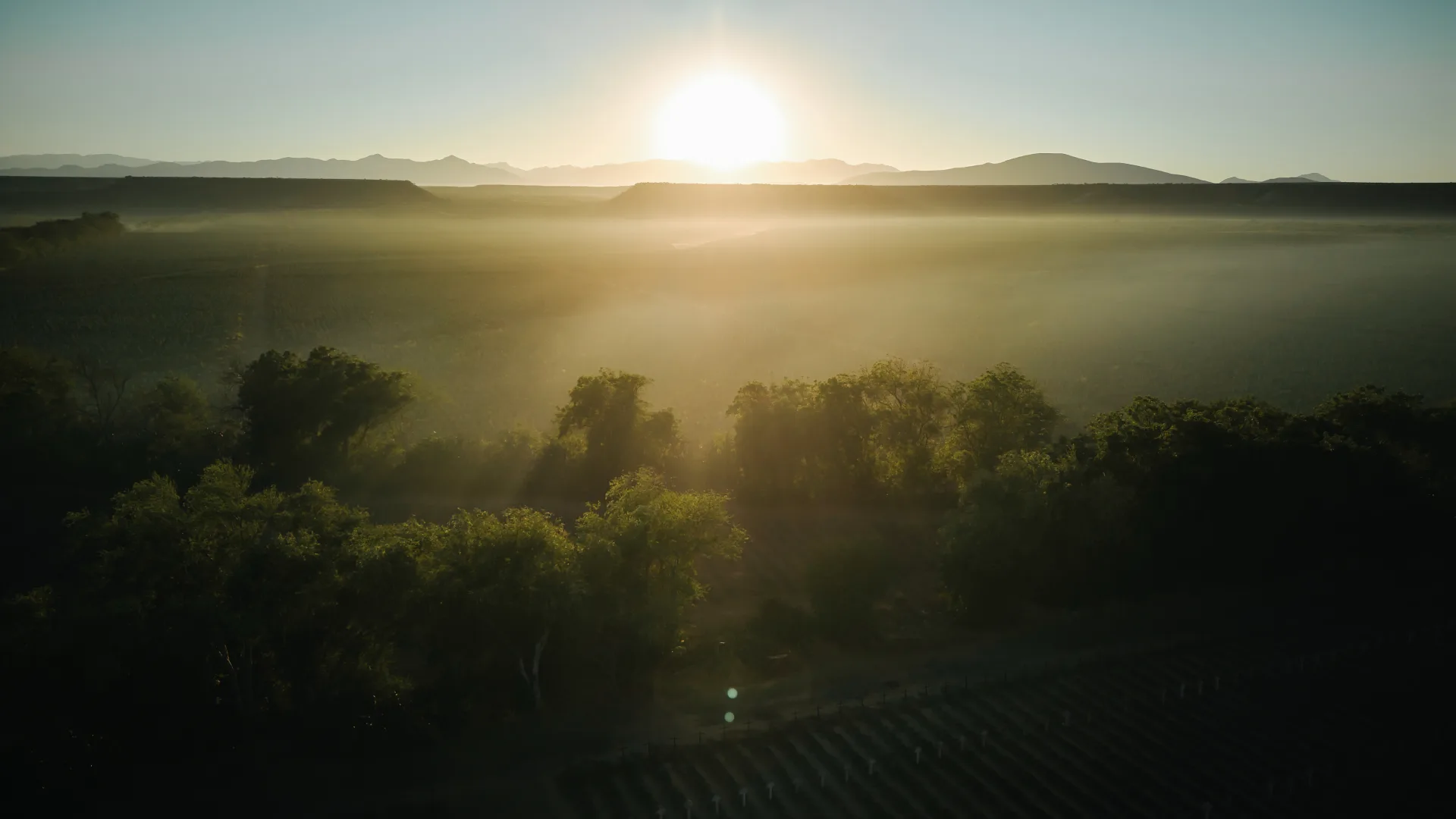 Impacts territoriaux et environnementaux